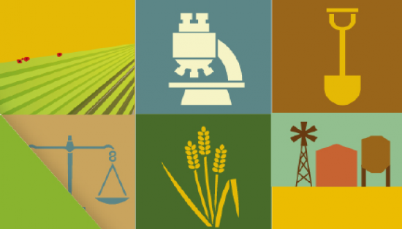  כנס: "חדשנות בפיתוח: מינוף המגזר הפרטי לחקלאות"