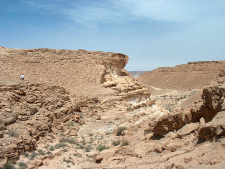 Elat_desert05